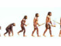 imagem típica da Teoria da Evolução de Darwin