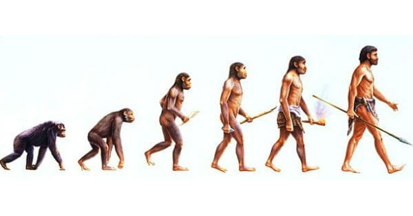 imagem típica da Teoria da Evolução de Darwin